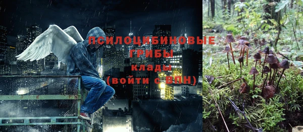 ГАЛЛЮЦИНОГЕННЫЕ ГРИБЫ Абдулино