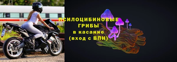 ГАЛЛЮЦИНОГЕННЫЕ ГРИБЫ Абдулино